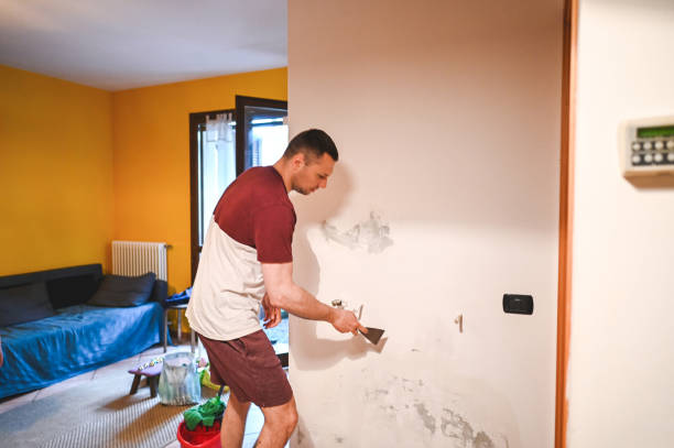 Best Mold Remediation for Specific Building Types in Hutchinson, MN